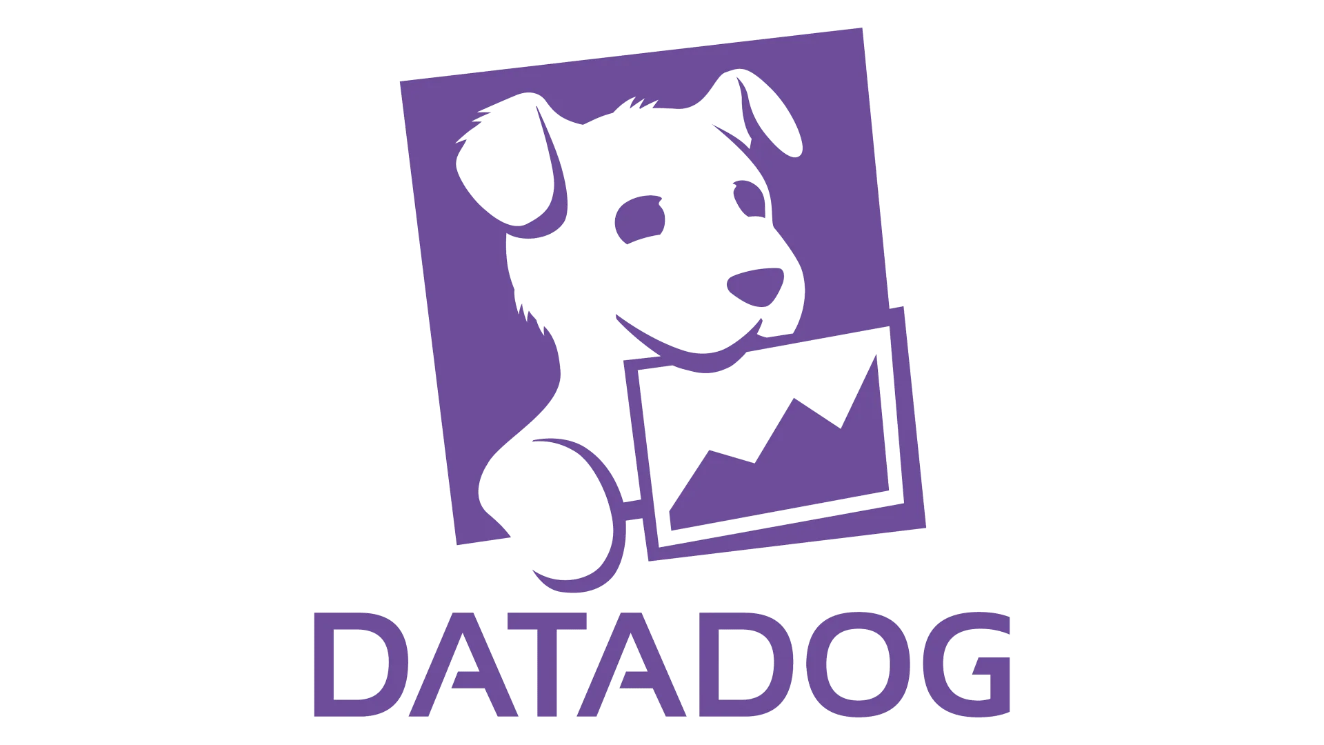 Datadog — monitoring and analytics